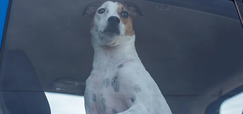 Car Lockout Solutions in Saranap, California